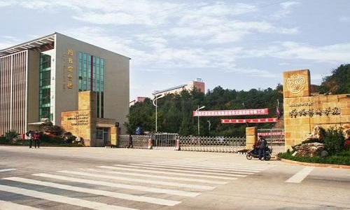 四川文化艺术学院2020年录取分数线