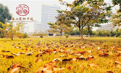 广西艺术学院2020年招生简章