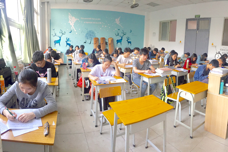 广东省2019年普通高校本科插班生拟招生专业与统一考试科目对应表