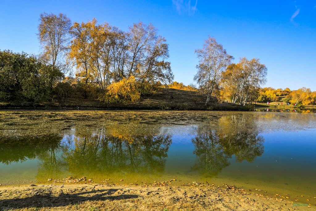 摄影艺考培训专题镜头的选择