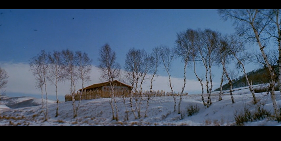 东莞传媒艺考编导专业培训班