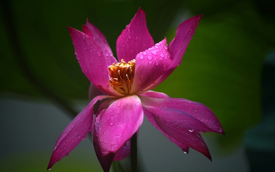 摄影艺考培训专题镜头的选择广州摄影艺考培训_广州多芬传媒艺考