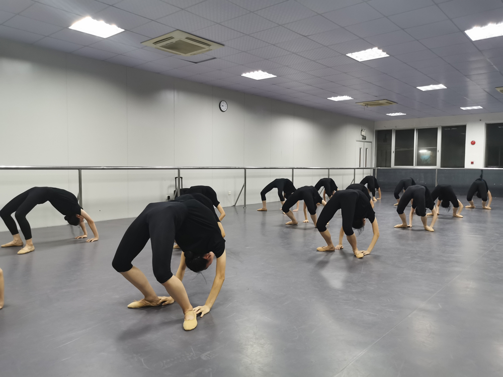 东莞舞蹈艺考培训班