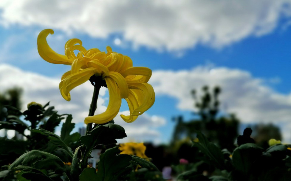 摄影艺考培训专题用光的控制：色温与白平衡的控制