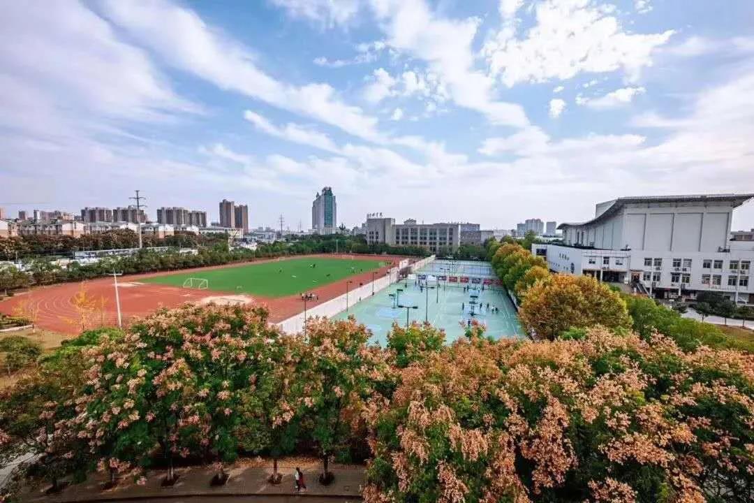 2020年武汉传媒学院艺术类校考招生简章