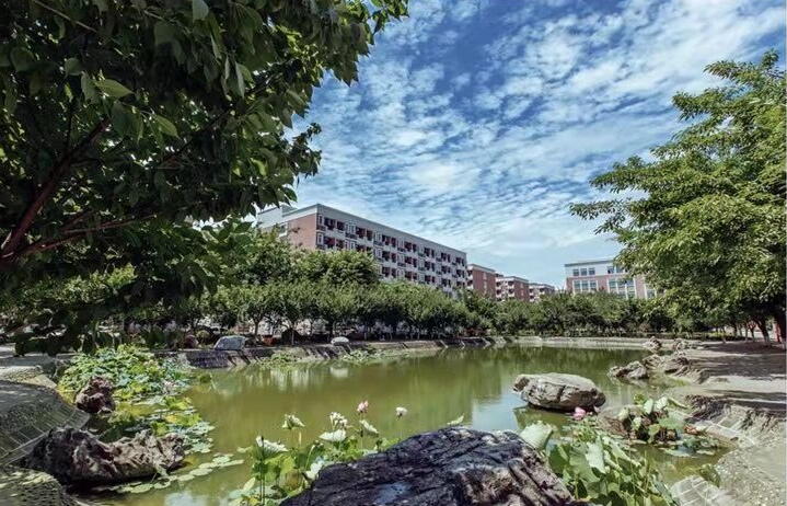 2020年四川电影电视学院招生简章