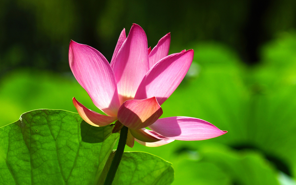 摄影艺考培训专题用光的控制：色温与白平衡的控制