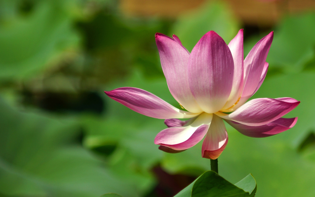 摄影艺考培训专题用光的控制：色温与白平衡的控制