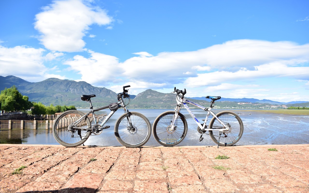 2018年广东省体育类本科录取投档情况