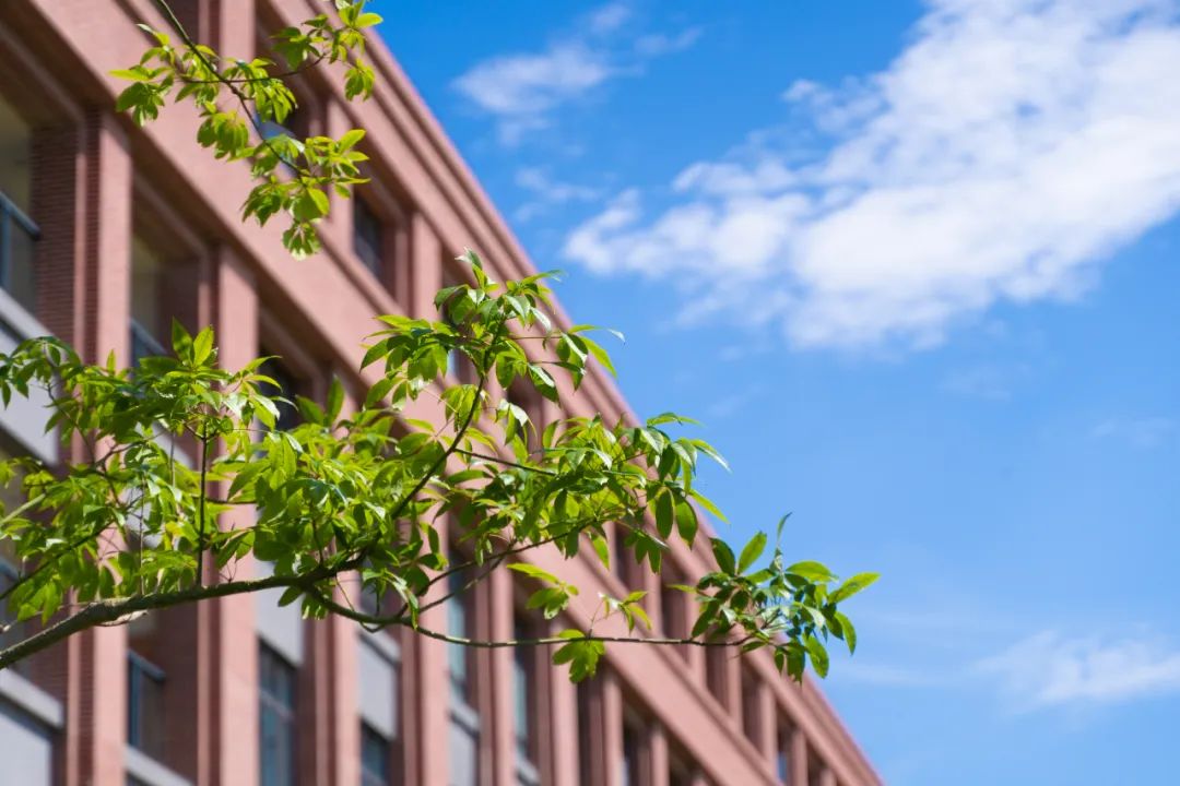 东莞市嘉荣外国语学校好看的图