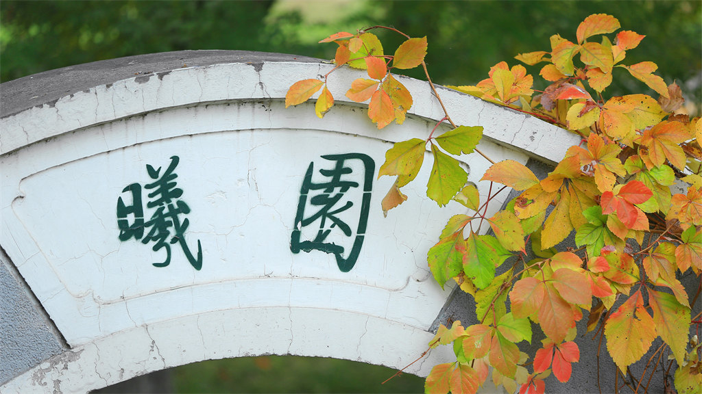 2022年北京师范大学艺术类招生简章 2022年北京师范大学艺术类招生简章