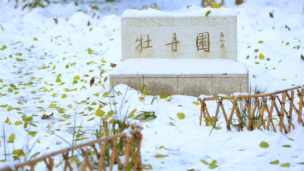 2022年北京师范大学艺术类招生简章 2022年北京师范大学艺术类招生简章