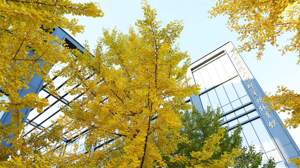 2022年北京师范大学艺术类招生简章 2022年北京师范大学艺术类招生简章