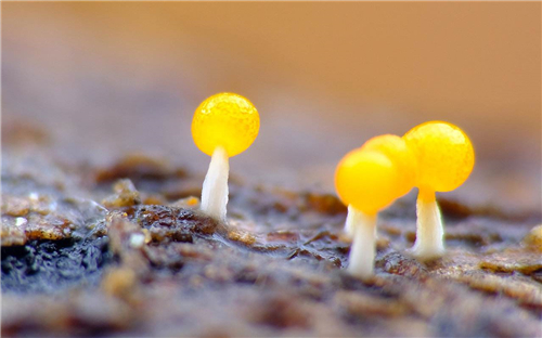 播音主持艺考生必备专业常识！