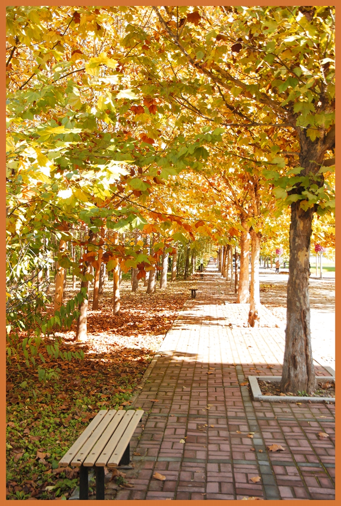 燕京理工学院2019年传媒类专业录取分数线