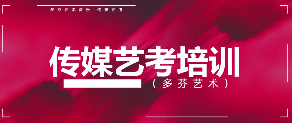 广州传媒艺考培训