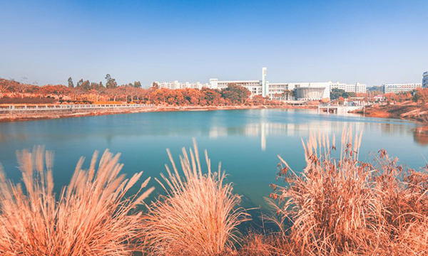 广东海洋大学校园风光二