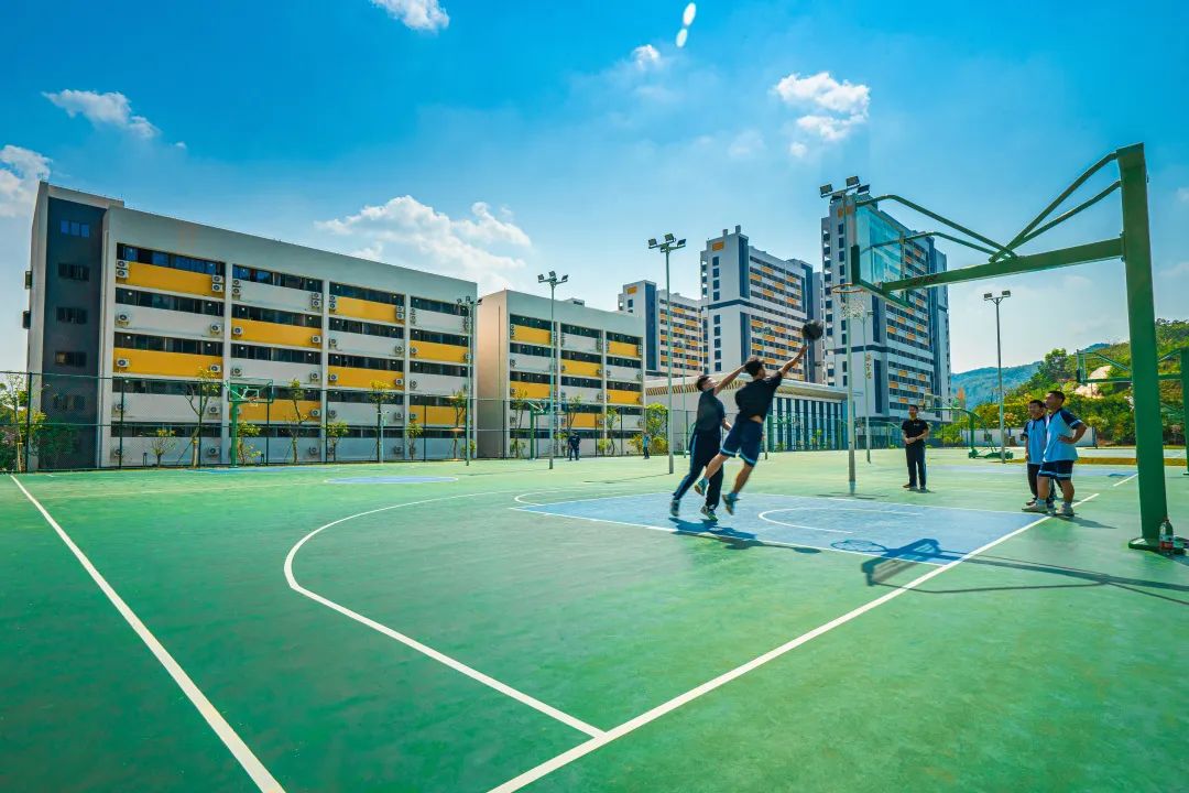 泰雅实验学校2022年招生