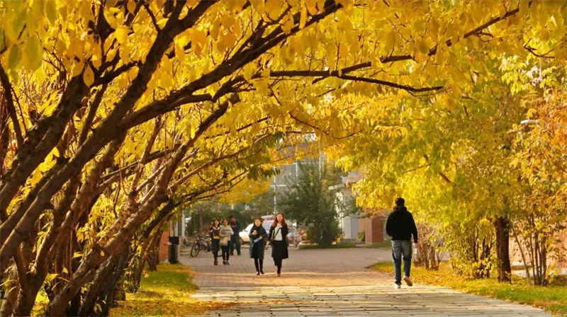 吉林动画学院2022年校考