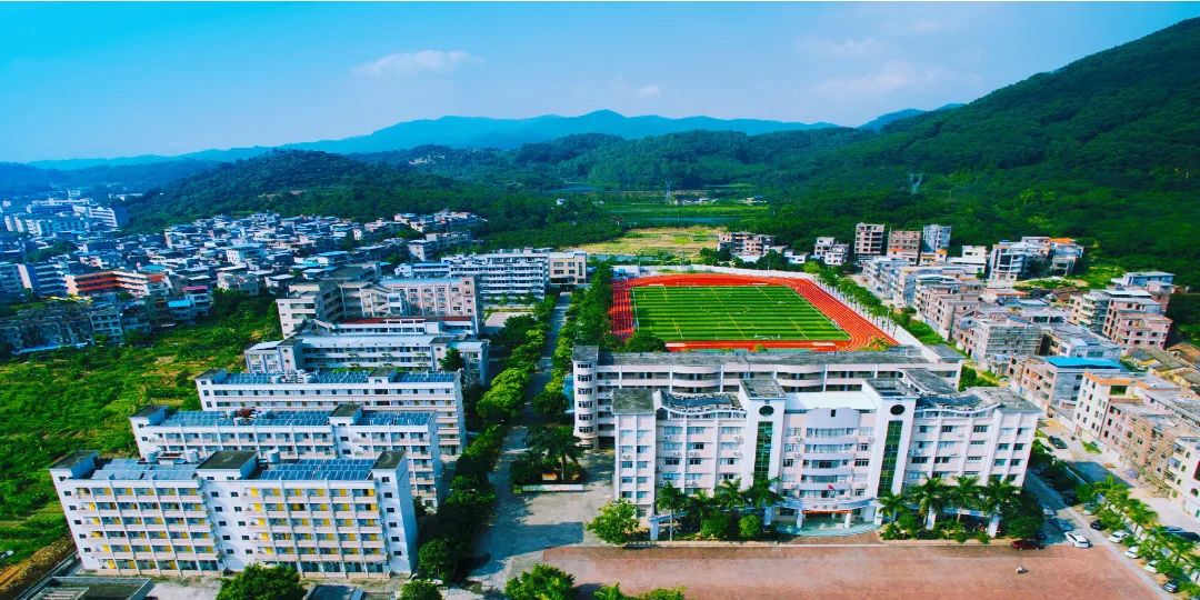 荔城中学艺术特长生招生