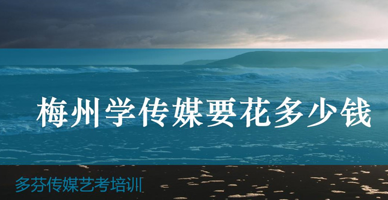 梅州学传媒要花多少钱