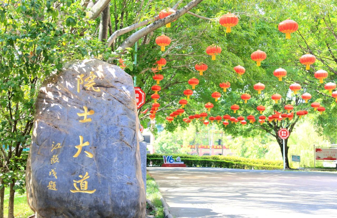 梅州传媒培训班