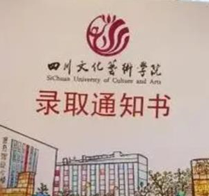 四川文化艺术学院2023年美术学校考考试大纲