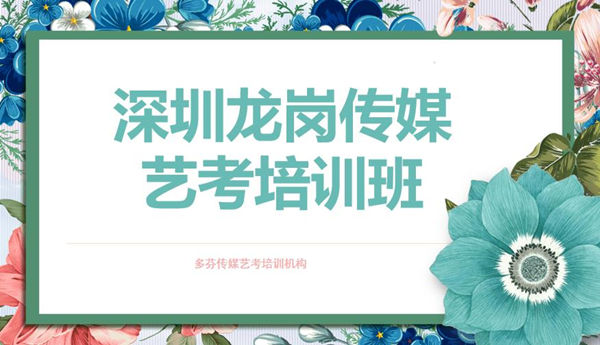 深圳龙岗传媒艺考培训班-传媒艺考培训机构