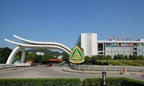 重庆邮电大学 2020 年艺术类专业招生简章