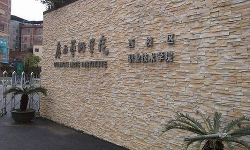 广西艺术学院2021年硕士研究生招生简章​