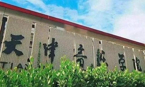 天津音乐学院2020年本科招生文化课录取分数线 