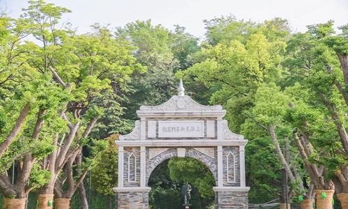 2020南京艺术学院本科招生简章