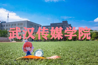 武汉传媒学院2022年面向广东省招生专业