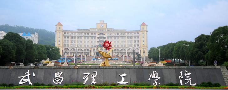 武昌理工学院2023年艺术类校考公告