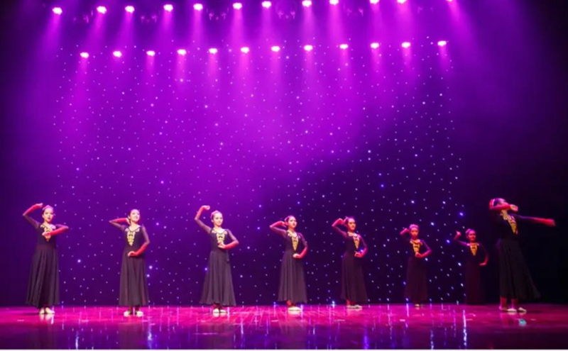 广州舞蹈艺考培训机构