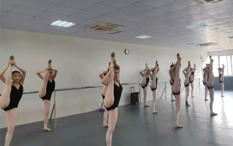 佛山舞蹈艺考培训班舞蹈艺考学校招生简章