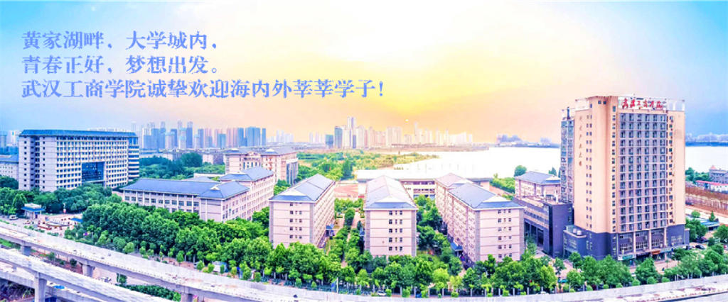 武汉工商学院2022年艺术类校考招生简章