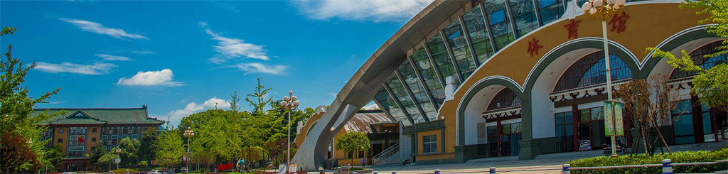 武汉体育学院2022年艺术类招生简章