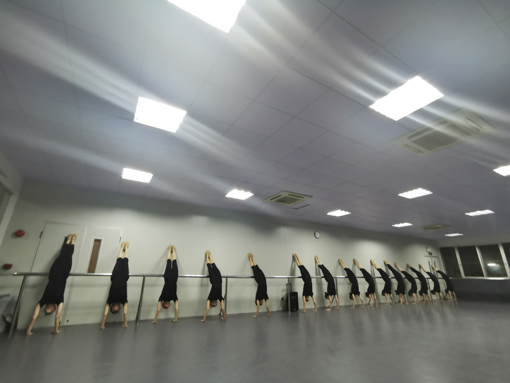 河源音乐艺考培训学校舞蹈专业艺考课程 