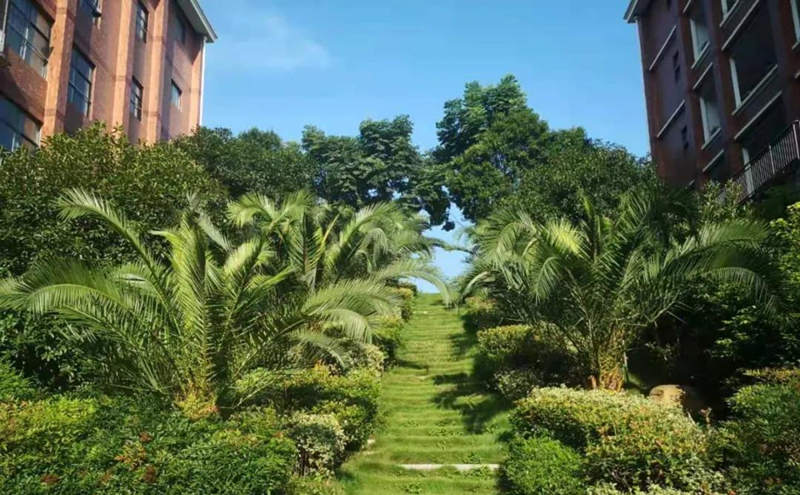 宜昌天问高中高考复读班