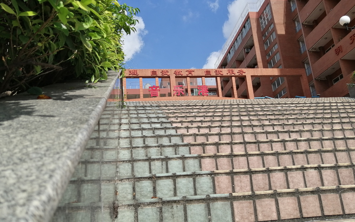 2020年广东省美术术科和广播电视编导术科统考成绩查询及合格线公布