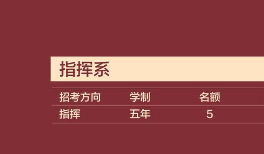 中央音乐学院2021年指挥系考试内容