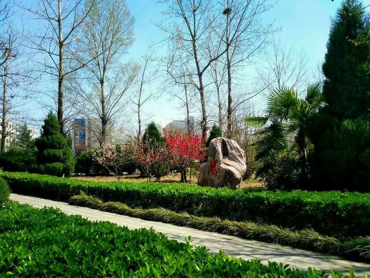 郑州科技学院2022年艺术类招生简章